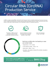 Circular RNA Case Study Report