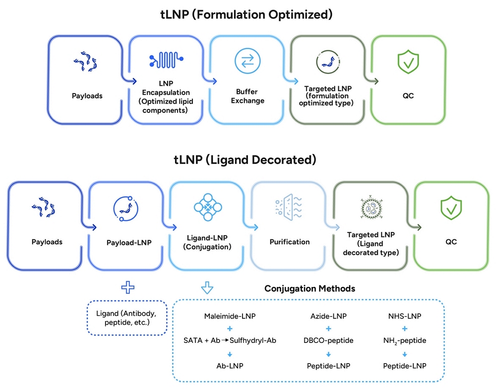 Machine Learning Lnp Design Targeted Lipid Nanoparticle (LNP) Formulation Services | GenScript
