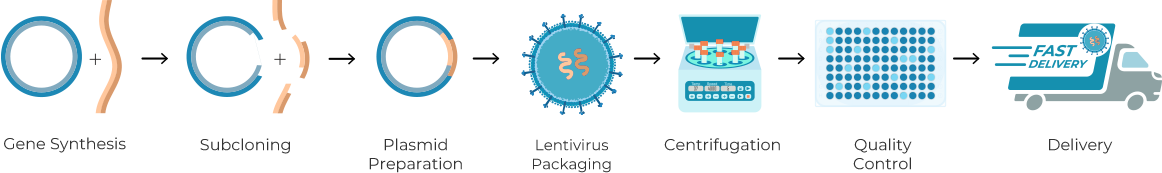 Seamless Delivery of Candidate Genes In Selected Lentivirus Workflow