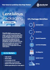Lentivirus Packaging Lentivirus Packaging