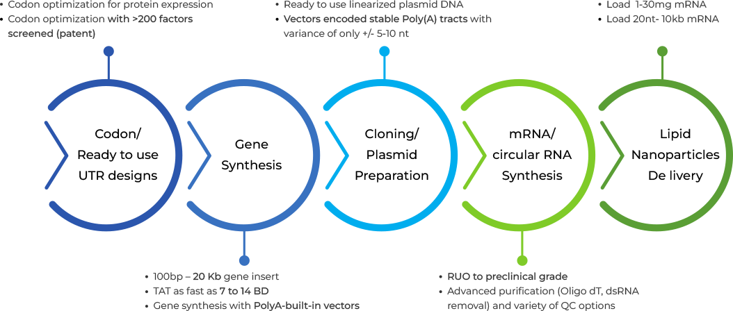 Manufacturing Workflow