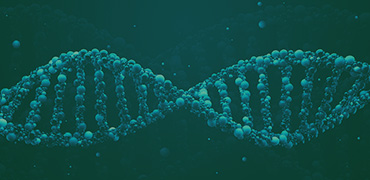 RNAi Construction
                  Services