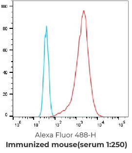 Serum titer after hPTX-LNP immunization