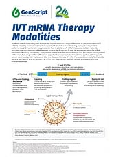 mRNA Therapy Modalities_Infographic
