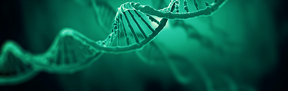 mRNA Template Services GenScript mRNA Template Services GenScript