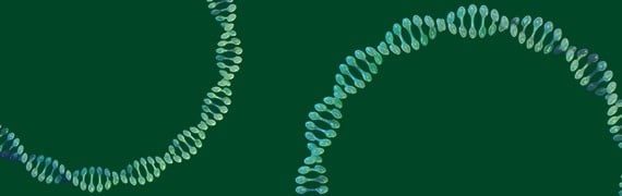 mRNA Applied Vector