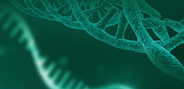 Plasmid Preparation