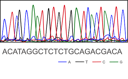 Next-Generation Sequencing (NGS)