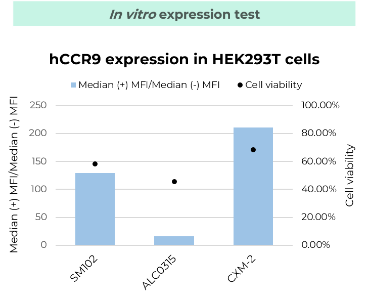 In vitro expression test  