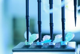 Automated high-throughput system to guarantee precision and efficiency