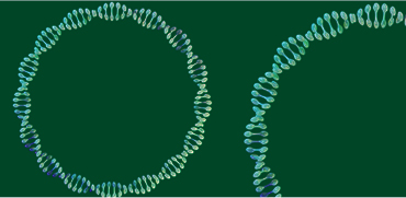 mRNA Applied Vector