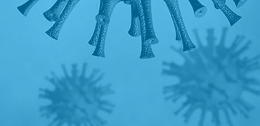 High-Throughput DNA Library Assembly Service