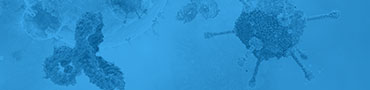 Peptide Library top banner