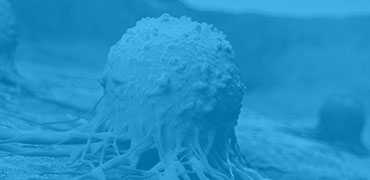 Precision Mutant Libraries Service