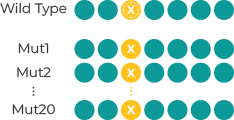 Site-Saturation Mutant Library