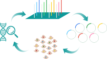 Mutant Libraries High-Precision DNA Mutant Library Services | GenScript