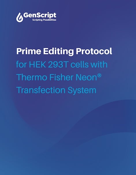 Prime Editing Protocol for HEK293T cells with Thermo Fisher Neon® Transfection System