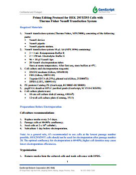 Prime Editing Protocol for HEK 293T/293 Cells RNP