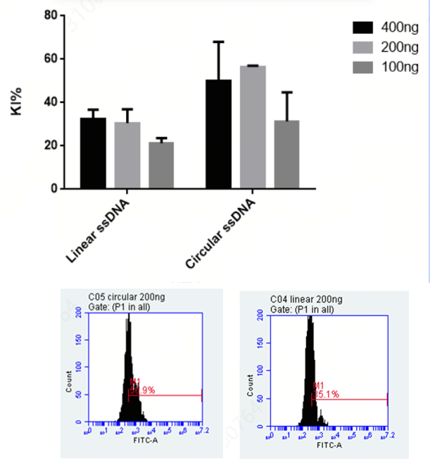 Dual-LNP Delivery System for Highly Efficient Cas9 mRNA-Based Gene Knock-In at the RAB11 Locus