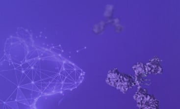 Mouse mAb Development