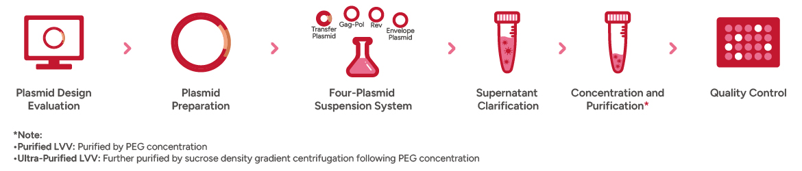 Lentiviral Packaging Workflow