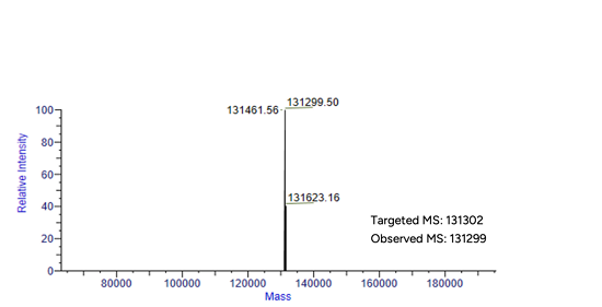 GenScript DAR1 AOC Conjugate ProductIdentification - MS