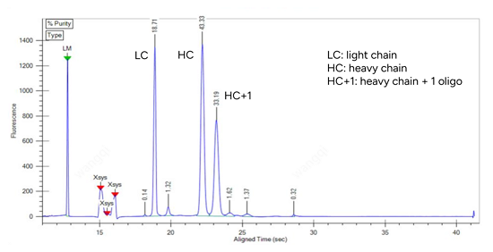 GenScript DAR1 AOC Conjugate Product Identification - CE-SDS