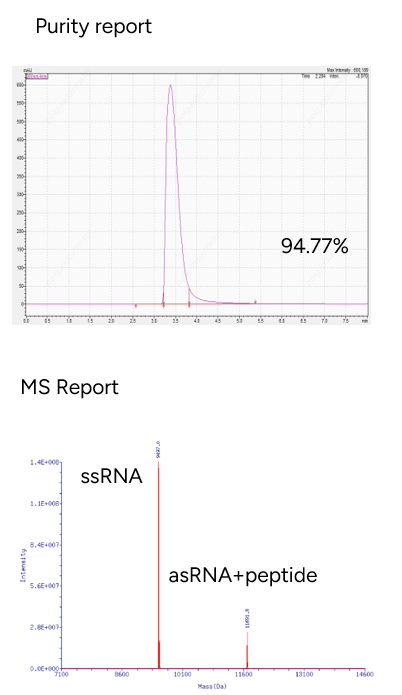 GenScript POC Conjugate Product - Peptide Conjugated to siRNA Sense Strand
