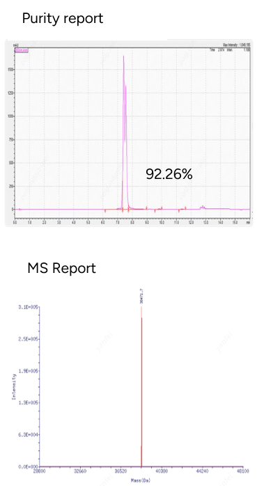 GenScript POC Conjugate Product - Peptide Conjugated to siRNA 5' End