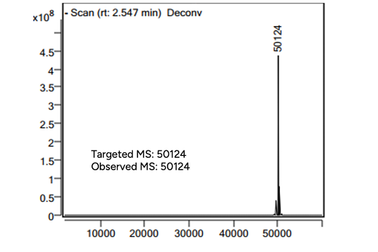GenScript Protein-Oligonucleotide Conjugate Product Identification - MS