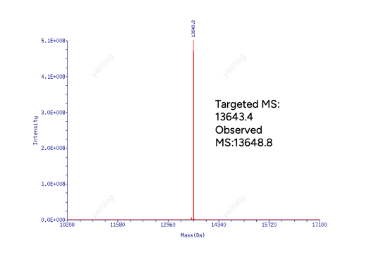 GenScript Peptide-Oligonucleotide Conjugate Product Identification - MS