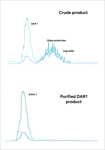 Ion Exchange Chromatography 