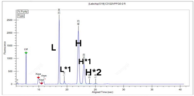 CE-SDS 