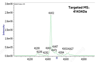 Native MS Analysis for AOC