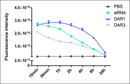 Thiomab based conjugation