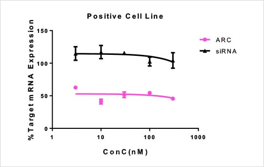 case study