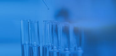 Small Nucleic Acid Drugs Stability Analysis
