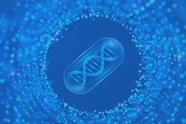 Small Nucleic Acid Drugs Discovery Services