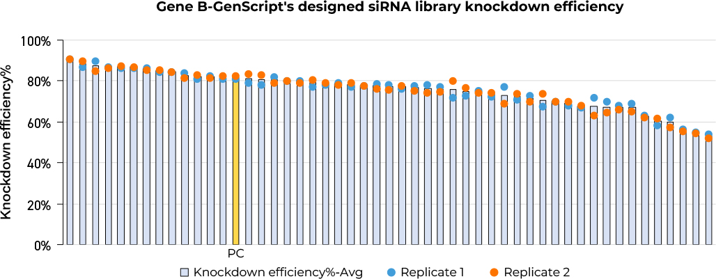 Genscript's Small Nucleic Acid Drugs AI Design Platform
