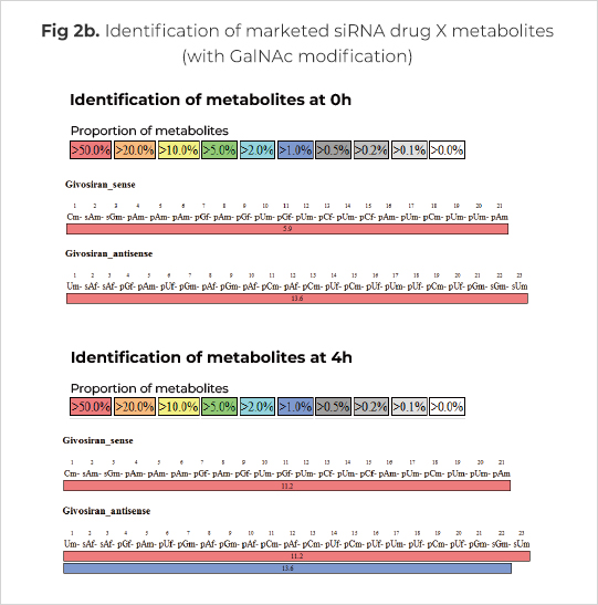Identification of X metabolites (with GalNAc modification)