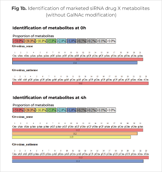 Identification of X metabolites (without GalNAc modification)