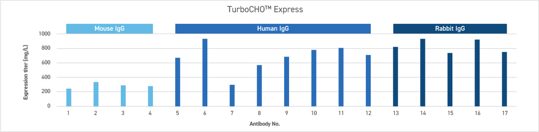 TurboCHO express TurboCHO express