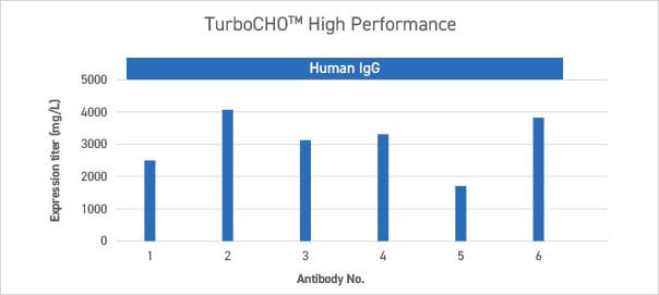 TurboCHO HP TurboCHO express