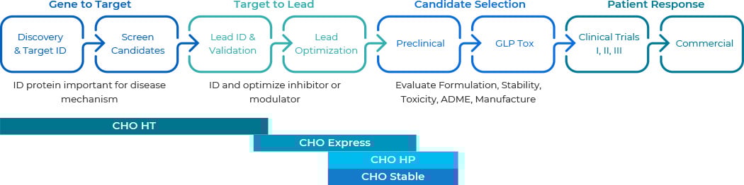 Antibody/Protein Therapeutics