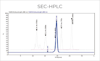Bispecific Antibody Production, Titer 374mg/L with Purity > 99%