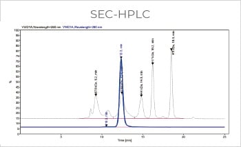 Bispecific Antibody Production, Titer 374mg/L with Purity > 99%