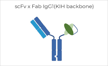 Bispecific Antibody Production, Titer 374mg/L with Purity > 99%