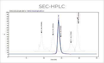Bispecific Antibody Production, Titer 374mg/L with Purity > 99%