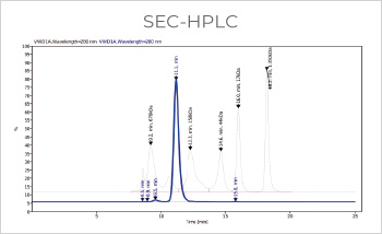 Bispecific Antibody Production, Titer 374mg/L with Purity > 99%