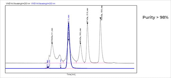 SEC HPLC analysis